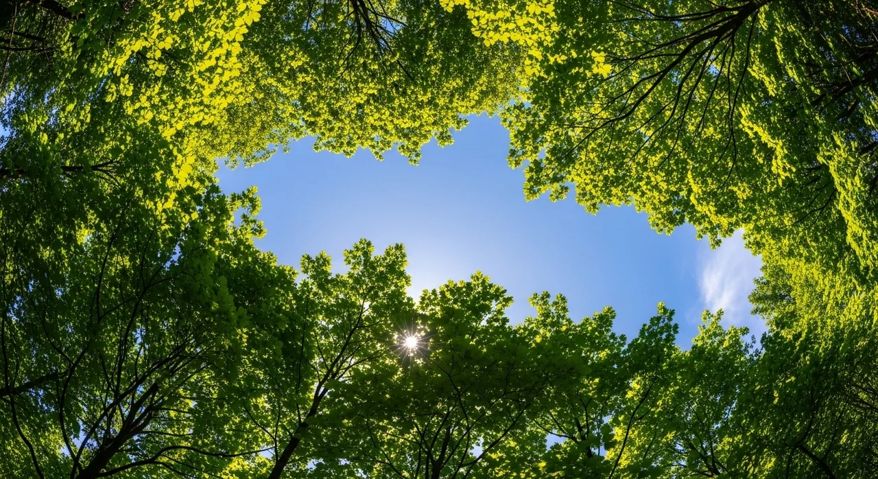 자연과 함께하는 새로운 삶의 시작
