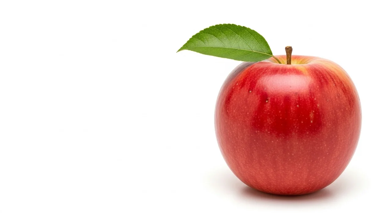 한눈에 보는 변비 유발 음식 리스트