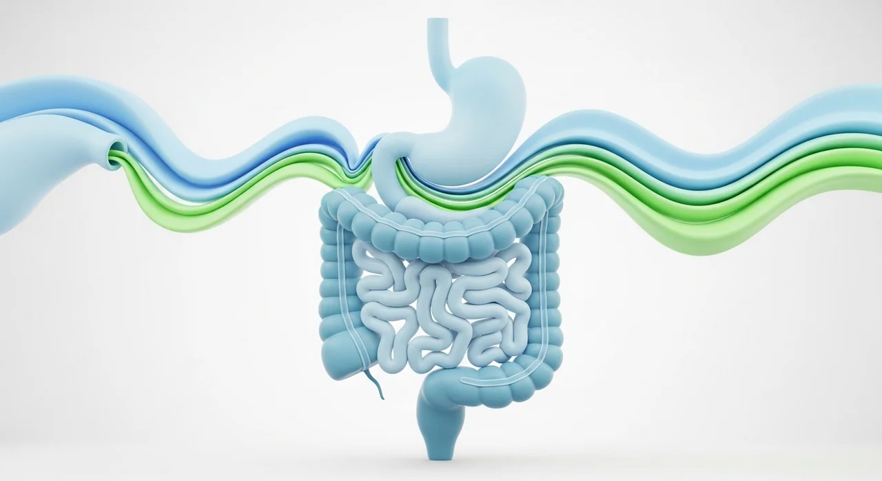 변이 딱딱해지는 3가지 결정적 원인