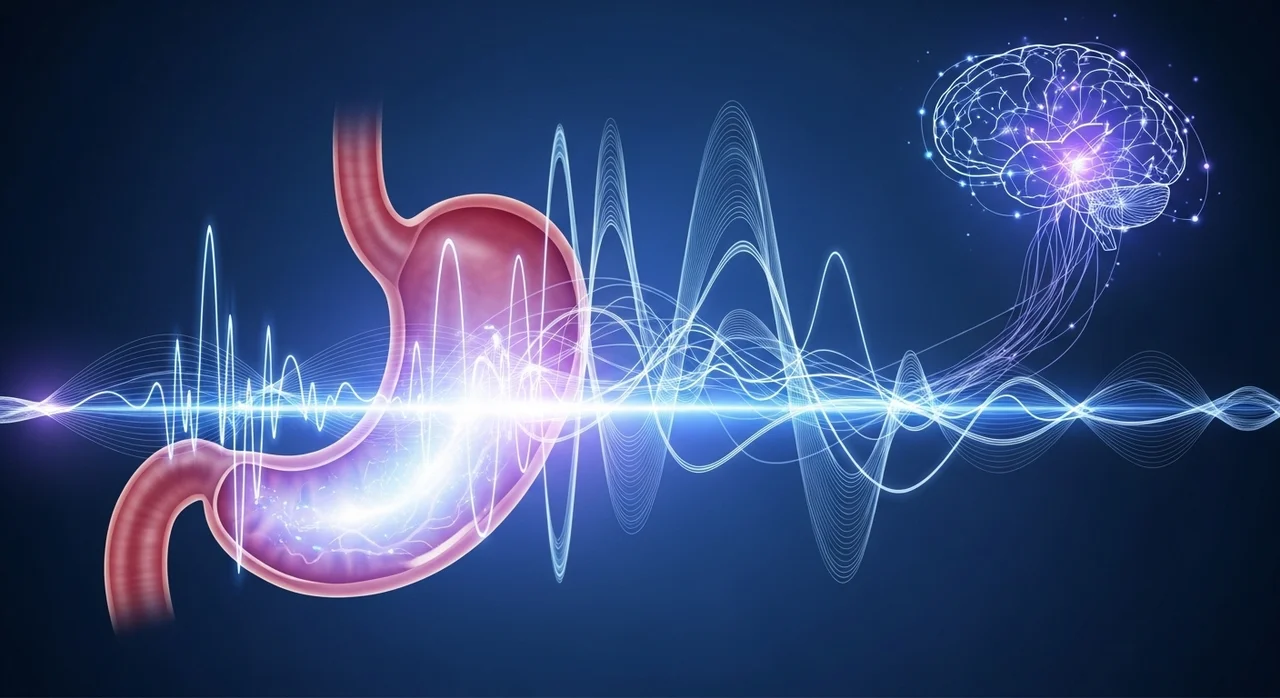 검사해도 이상 없는데 속은 답답한 이유, 바로 이것입니다