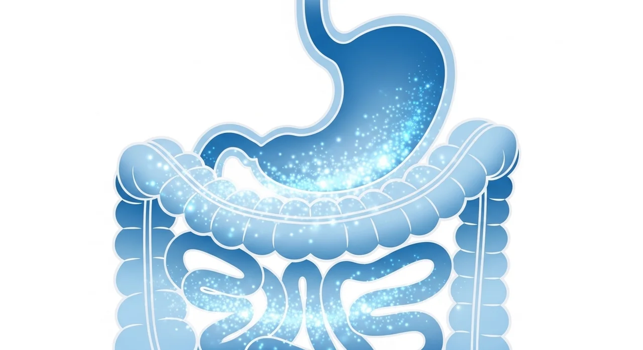 프로피에스솔톡, 답답한 장 문제를 위한 핵심 해결책