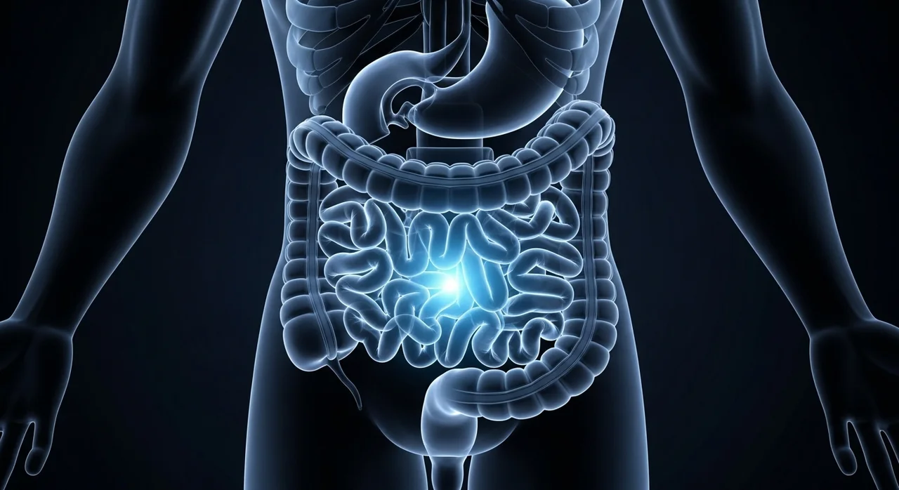 비피더스 유산균, 왜 대장 건강의 핵심일까요?