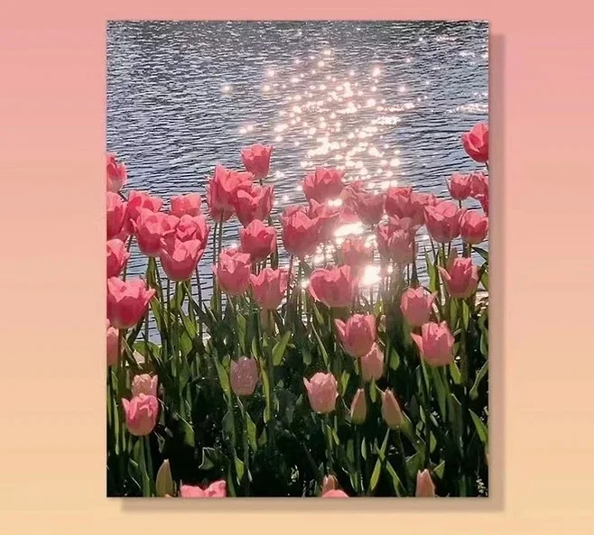 votgl DIY명화그리기 그림그리기꽃 유화 세트 40 x 50cm