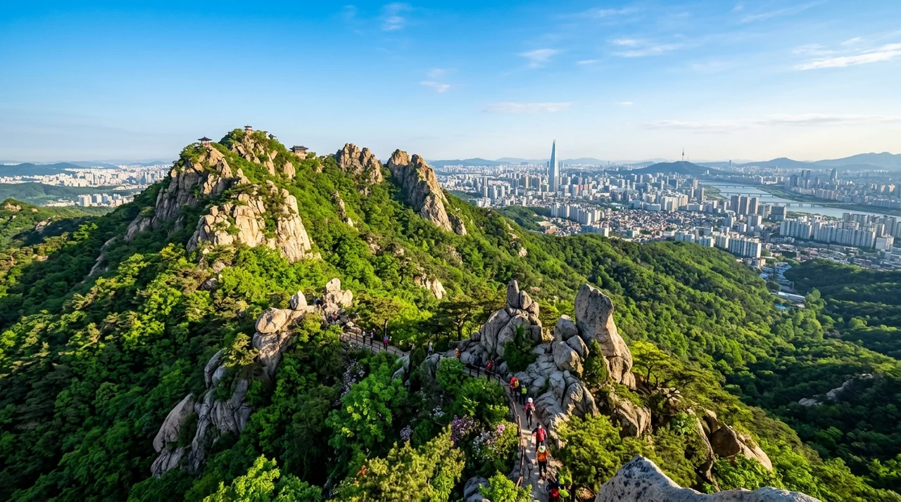 관악산 등산코스 추천! 초보자 맞춤 경로와 주변 맛집, 문화 공연 코스 완벽 정리