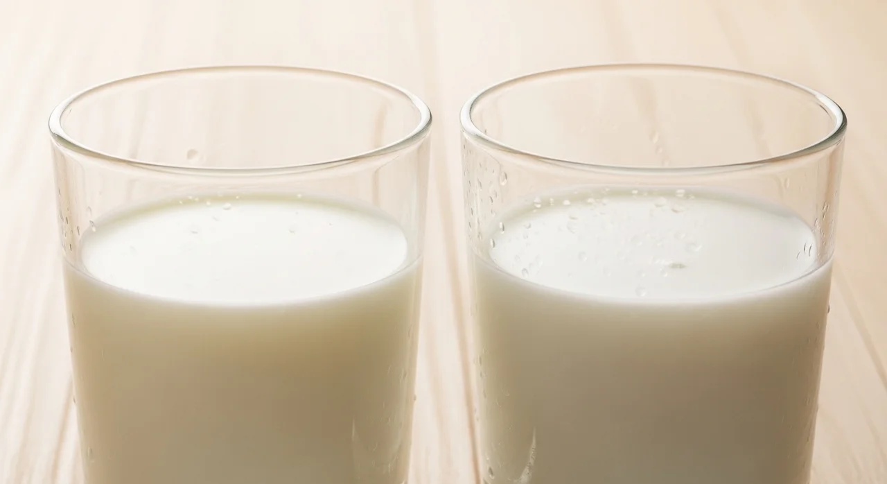 우유만 마시면 배가 아픈가요? WPC vs WPI 비교